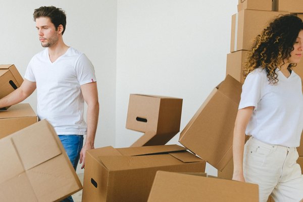 Comment éviter les cloportes dans la maison efficacement